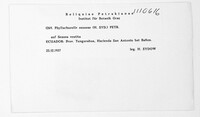 Image Associated With the Occurence
